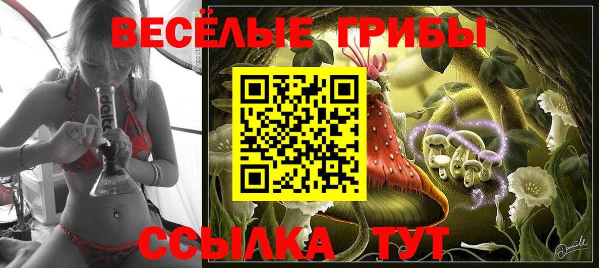 Галлюциногенные грибы Psilocybe Удомля